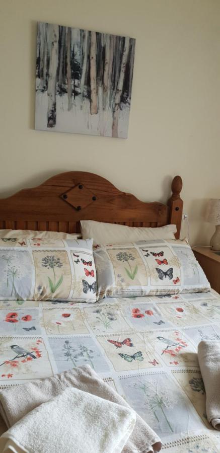 Willa Comfy Quiet Town House Strabane Zewnętrze zdjęcie